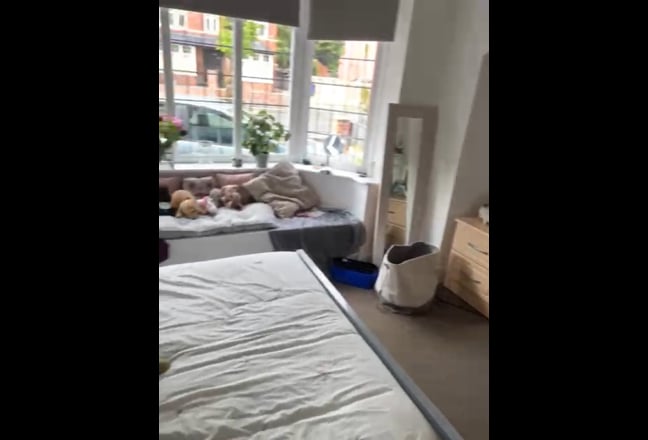 Video 1: