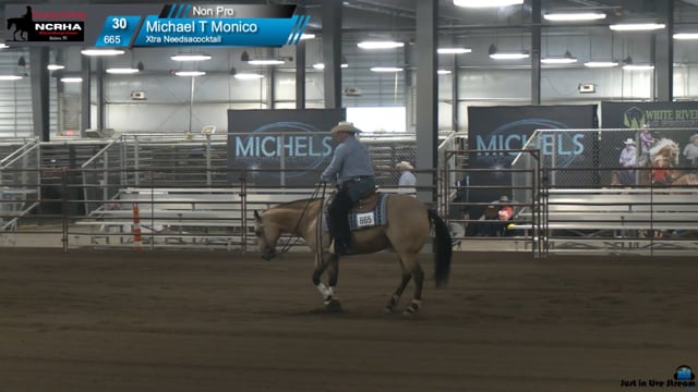 #665 Michael T Monico