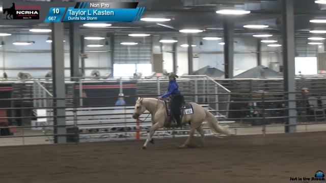 #667 Taylor L Kasten
