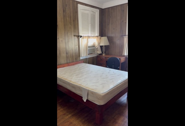Large bed room available in Morris Park Main Photo