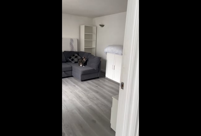 Video 1: