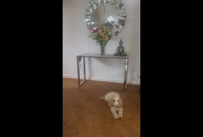 Dog Lovers Welcome - Double in Ewell bills incl Main Photo
