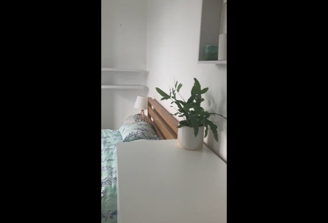 Video 1: