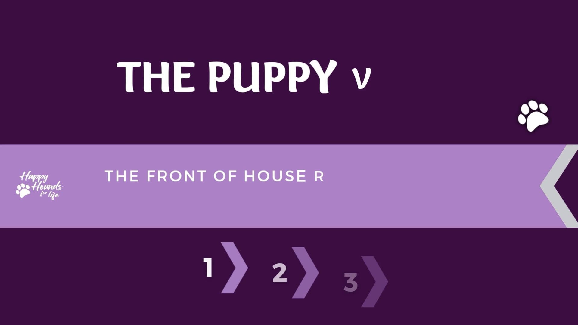 Puppy Visit Schedule