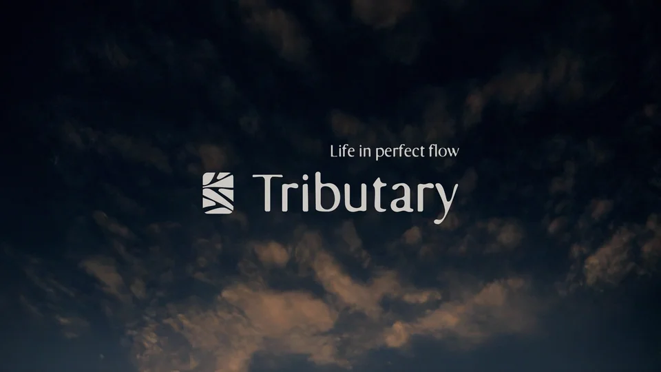 Tributary Brand Launch