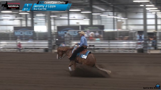 #617 Jeromy J Lipps