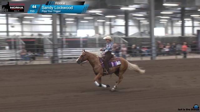 #700 Sandy Lockwood