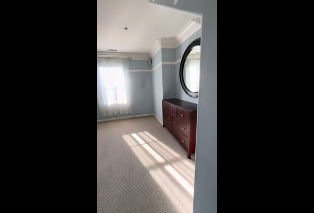 Looking for Professional Roomate Main Photo
