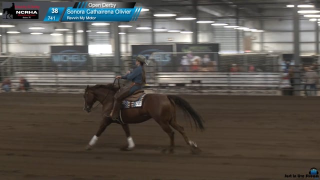 #741 Sonora Cathairena Olivier