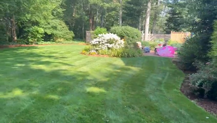 https://i.vimeocdn.com/video/2043081117-1511c83eb92466fade7279606710b617ee95894a71f39b6205cfef5aac69febb-d