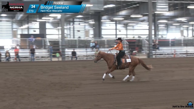 #770 Bridget Seeland