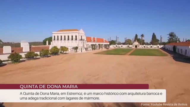 EP 47 | Notícias do Enoturismo