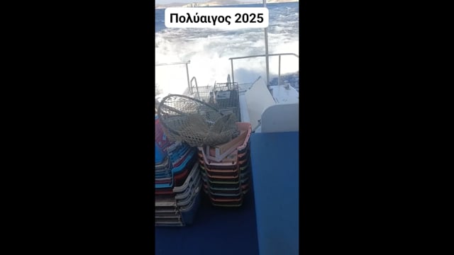 Διάσωση γατιών από τη βραχονησίδα Πολύαιγος (έναντι Κιμώλου) 27-7-2025