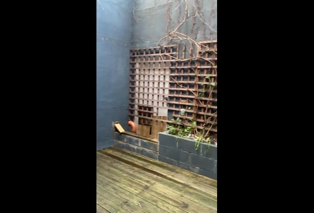 🎉 1 bedroom Patio Flat 🎉 Old Kent Road - INC BIL Main Photo