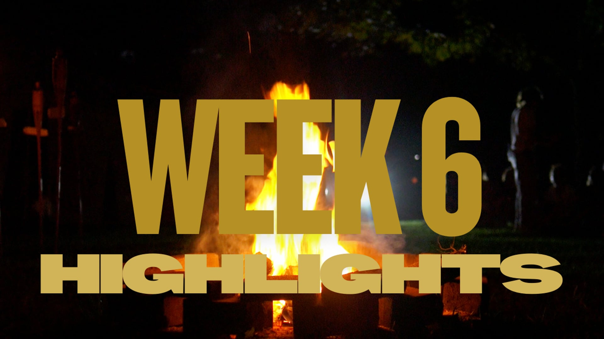 Week  6 Highlights 2025