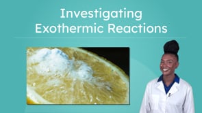 Investigating Exothermic Reactions