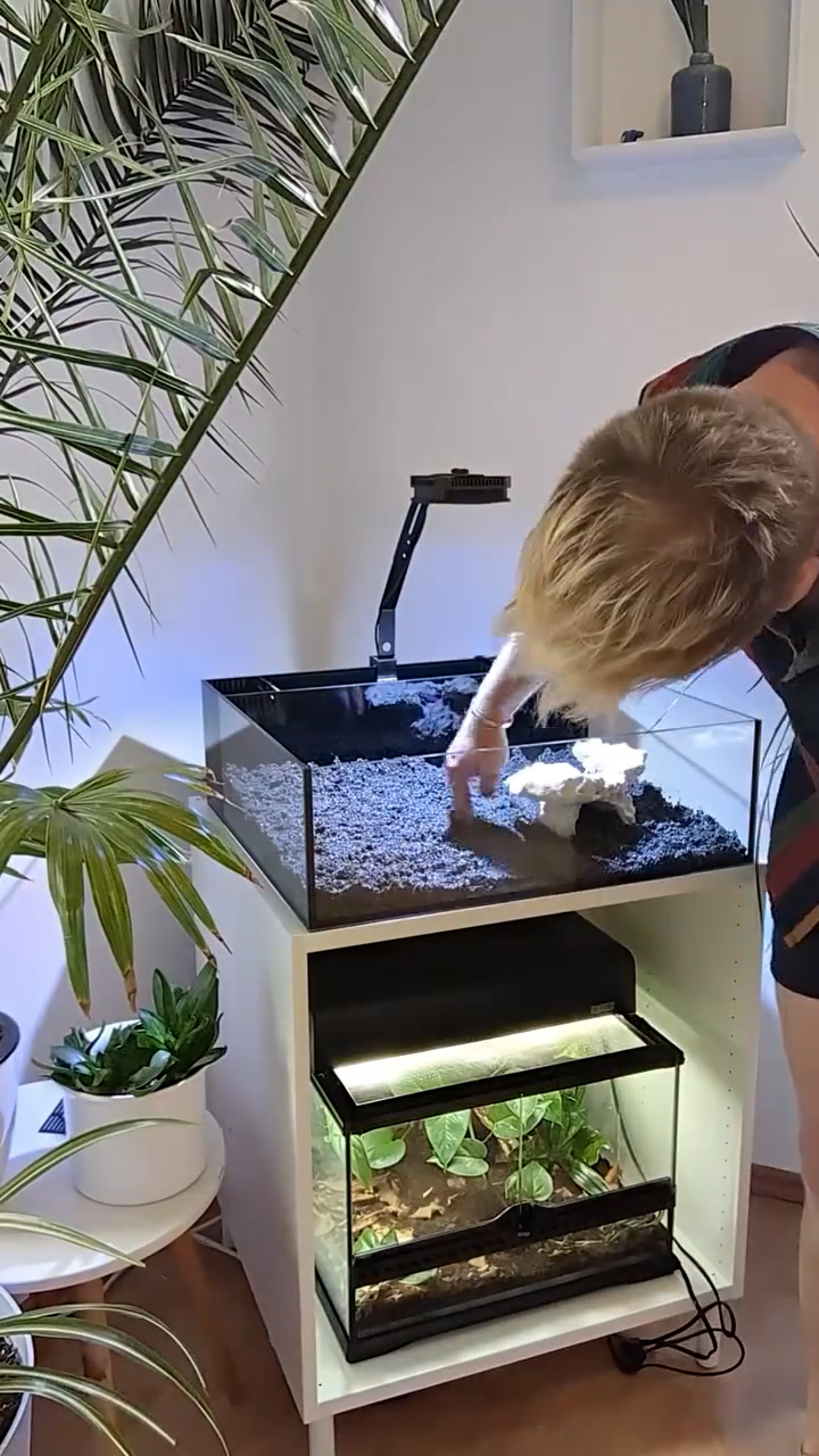 Tide Shallow Aquarium