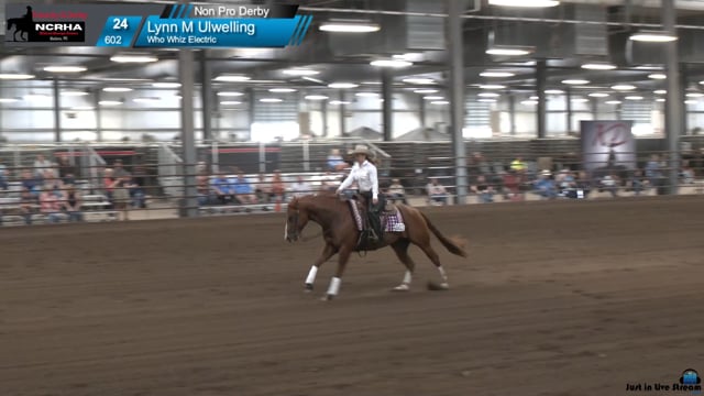 #602 Lynn M Ulwelling