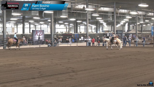 #747 Kerri Bovino