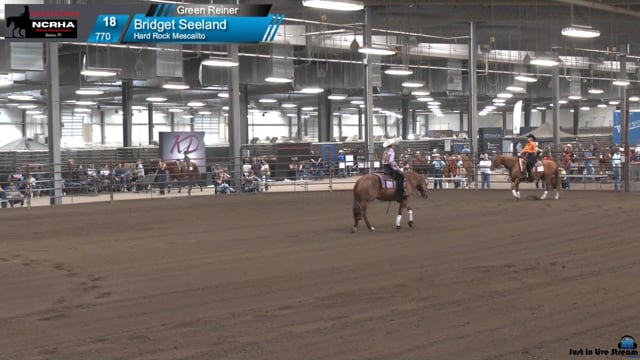 #770 Bridget Seeland (2)