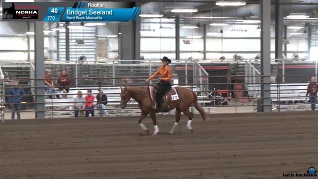 #770 Bridget Seeland