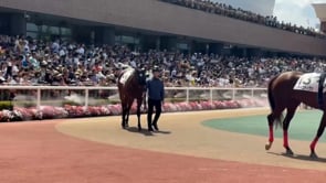 動画サムネイル