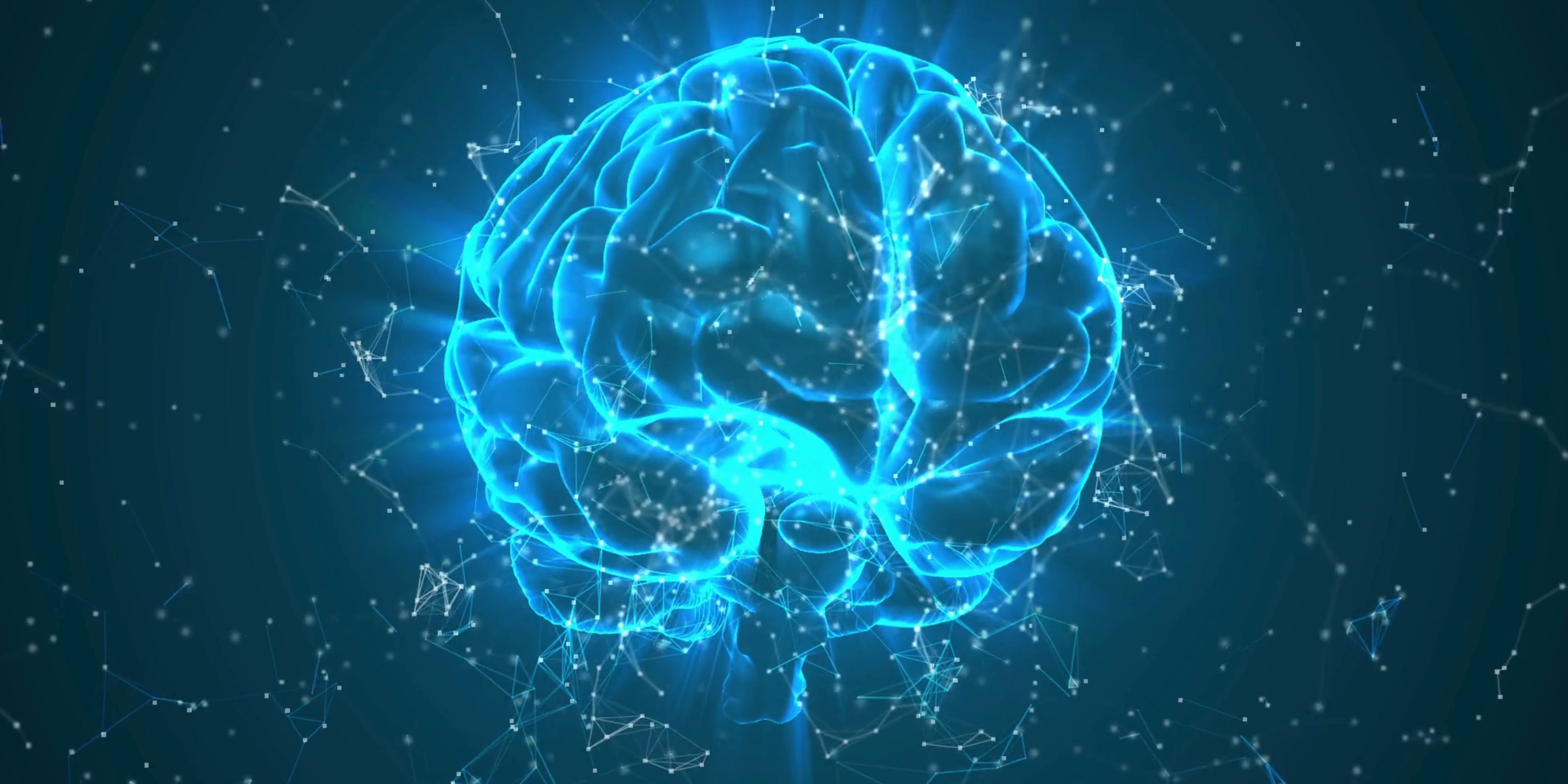 https://i.vimeocdn.com/video/2043673019-70c6cad0d234ff9cc6eef13a6f7c17f686135d71ea725cf2df054989fb4011a3-d