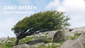 DAILY BREATH - UJJAYI