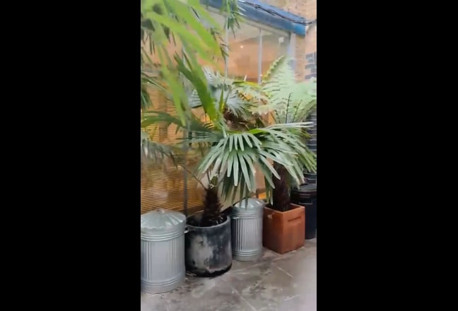 Video 1: