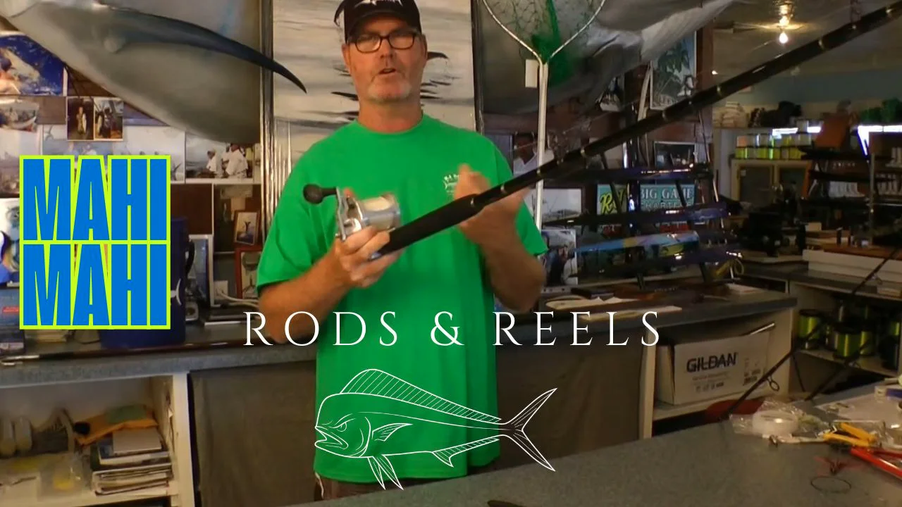 best reels for dolphin fishing Dolphin Fishing Rods and Reels