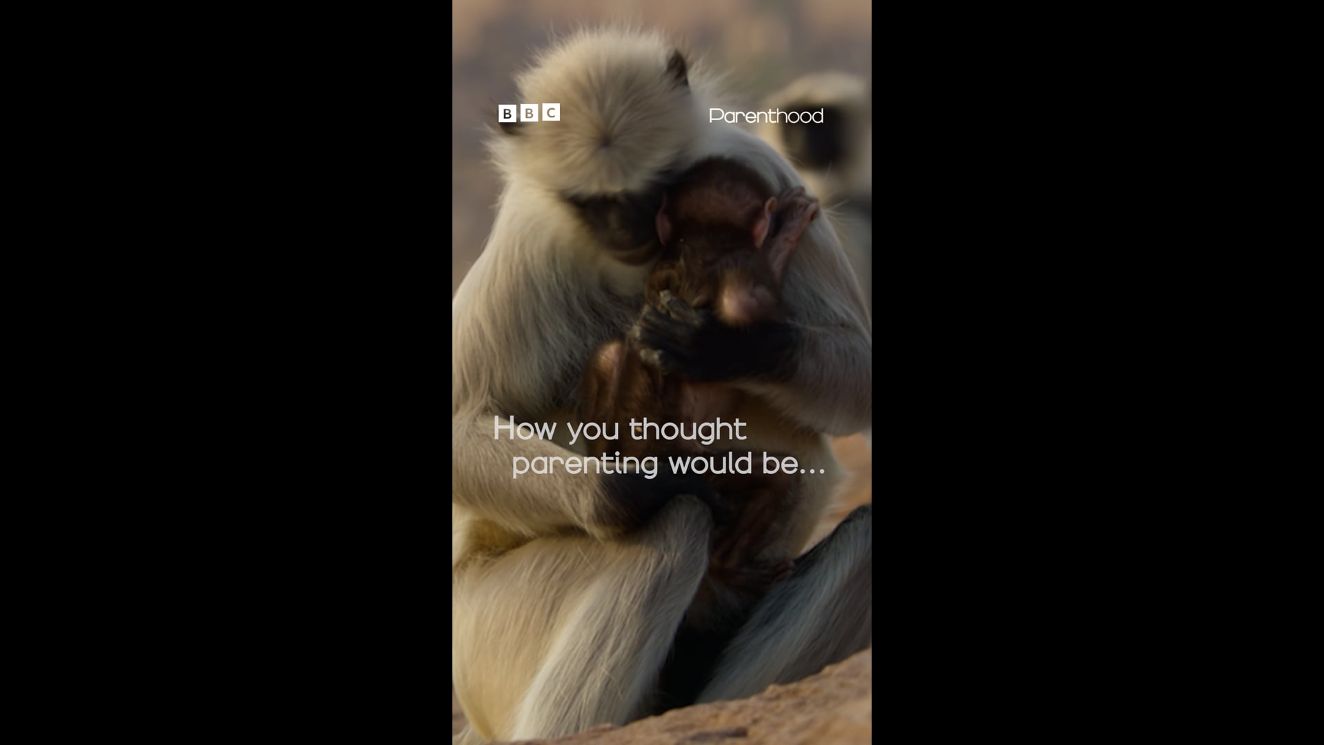 David Attenborough: Parenthood Social 2 + BBC One