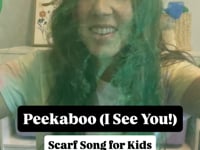 Related Embedded Video Item Thumbnail