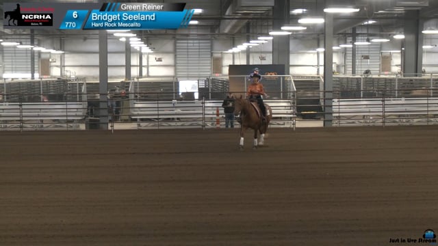 #770 Bridget Seeland