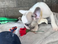 Watch me!