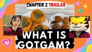 Related Embedded Video Item Thumbnail