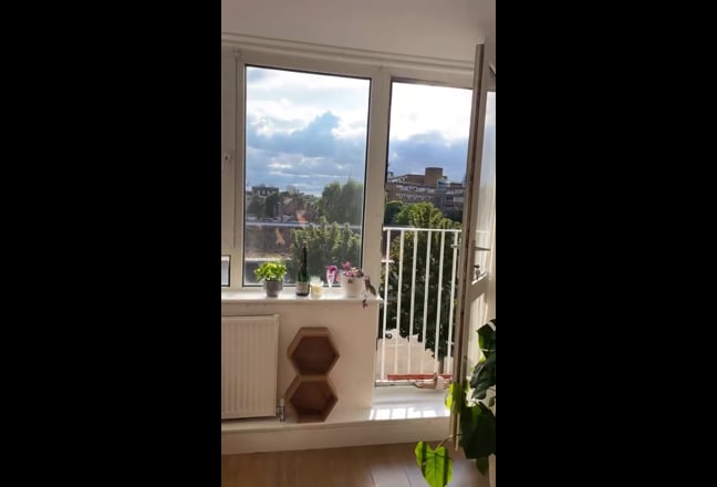 Room for rent in newly renovated Peckham flat Main Photo