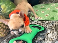 Watch me play!