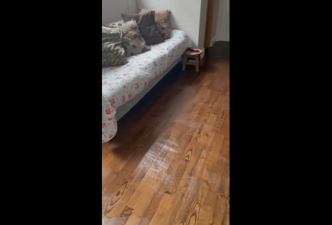 Video 1: