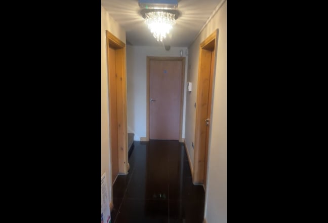 Video 1:
