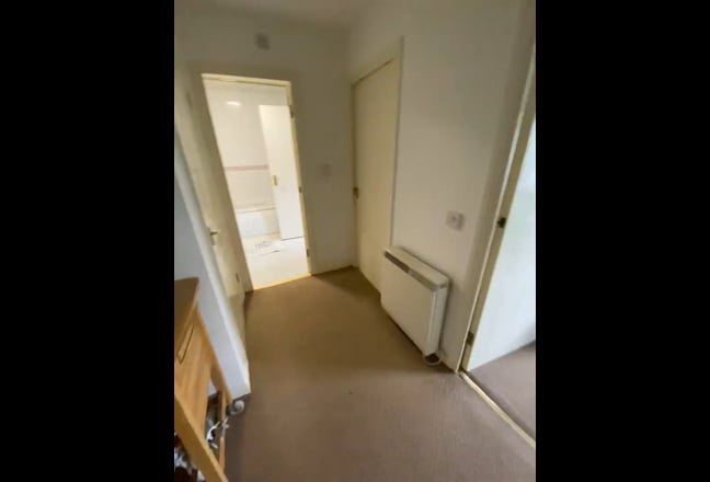 Video 1: