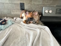Watch me play!