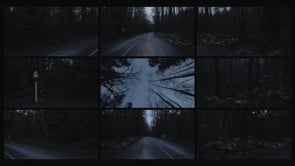 0229 ForestRd Dusk 3min