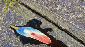 Related Embedded Video Item Thumbnail