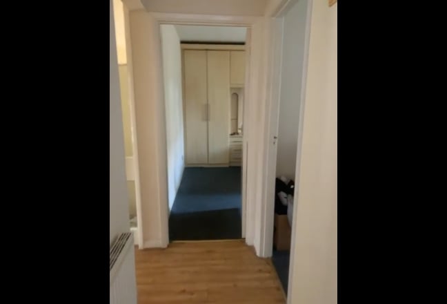 Video 1: