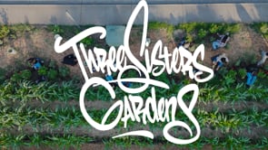 Three Sisters Gardens