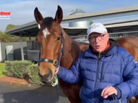 Home Affairs x Aaralyn Filly Aug 25 Mick Price