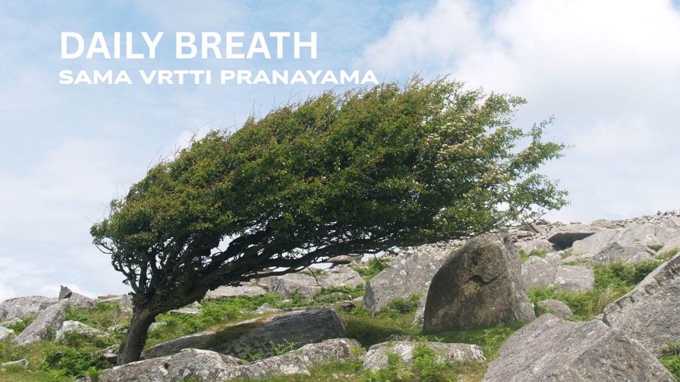 Sama Vrtti Pranayama