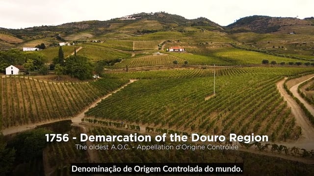 School of Port, The Essencials - Demarcation