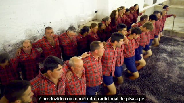 School of Port, The Essencials - Grape Treading (1)