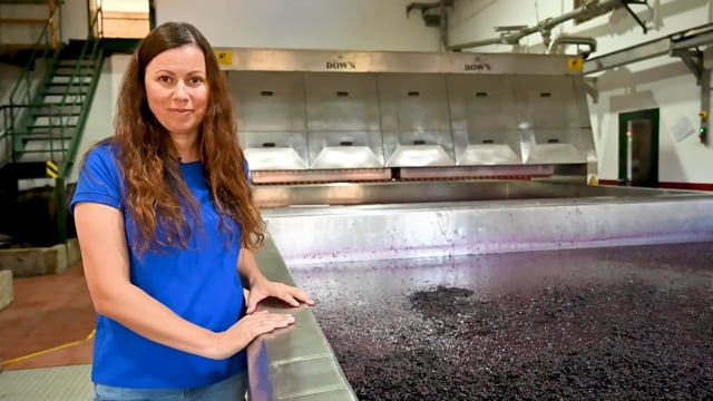 School of Port, The Essencials - Grape Treading (2)